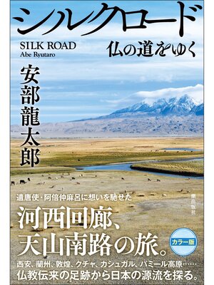 cover image of シルクロード 仏の道をゆく